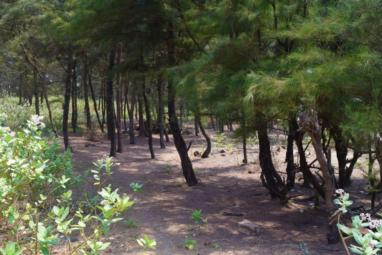 Rama Niwas Beach Home Stay Pawas Экстерьер фото