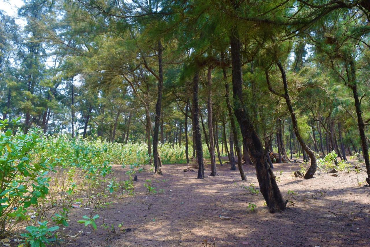 Rama Niwas Beach Home Stay Pawas Экстерьер фото